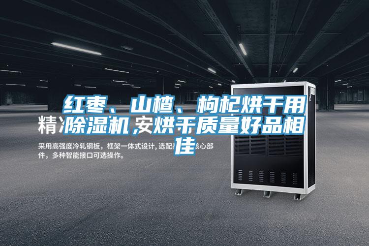 紅棗、山楂、枸杞烘干用除濕機,烘干質(zhì)量好品相佳