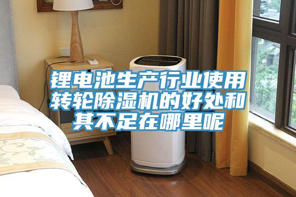 鋰電池生產行業使用轉輪除濕機的好處和其不足在哪里呢