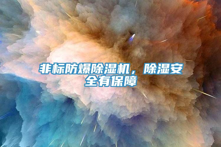 非標防爆除濕機,除濕安全有保障