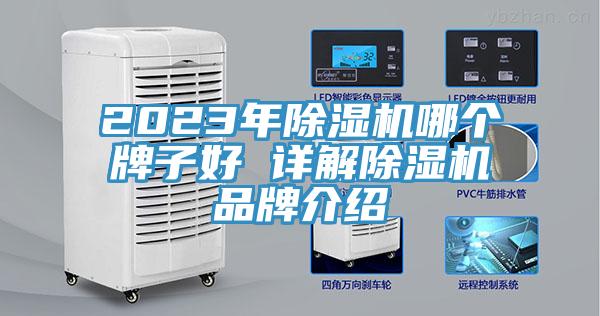 2023年除濕機哪個牌子好 詳解除濕機品牌介紹