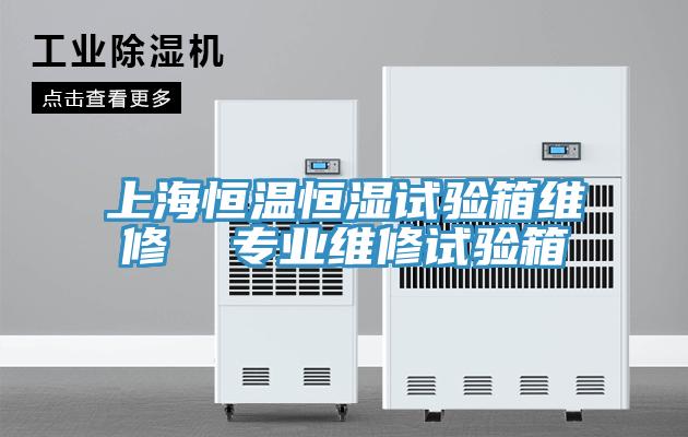 上海恒溫恒濕試驗箱維修  專業維修試驗箱