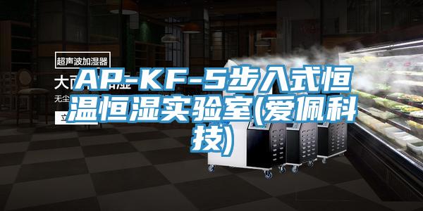 AP-KF-5步入式恒溫恒濕實驗室(愛佩科技)