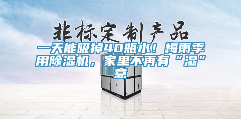 一天能吸掉40瓶水!梅雨季用除濕機,家里不再有“濕”意