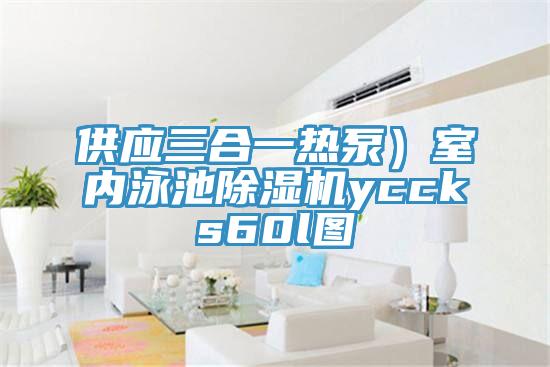 供應三合一熱泵)室內泳池除濕機yccks60l圖