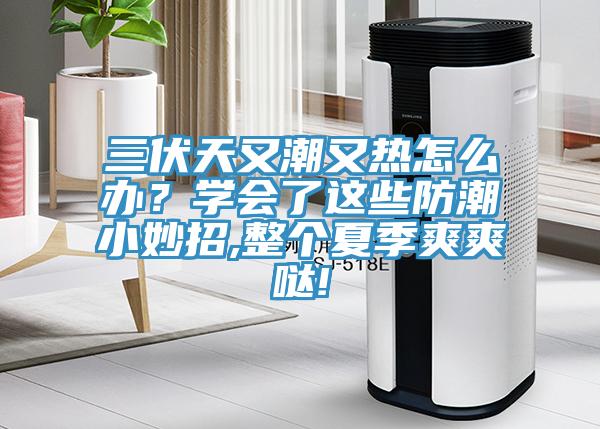 三伏天又潮又熱怎么辦？學會了這些防潮小妙招,整個夏季爽爽噠!