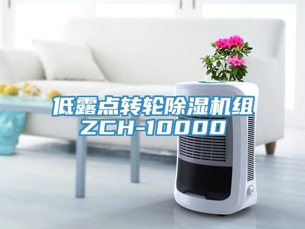 低露點(diǎn)轉(zhuǎn)輪除濕機(jī)組ZCH-10000