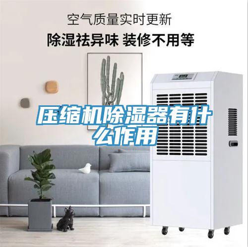 壓縮機除濕器有什么作用