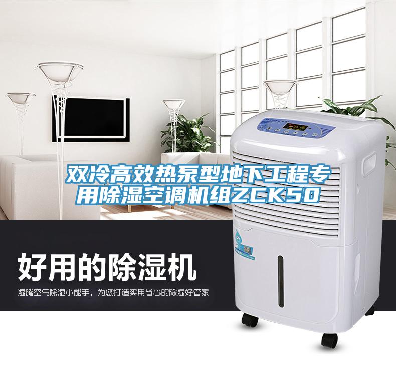 雙冷高效熱泵型地下工程專用除濕空調機組ZCK50