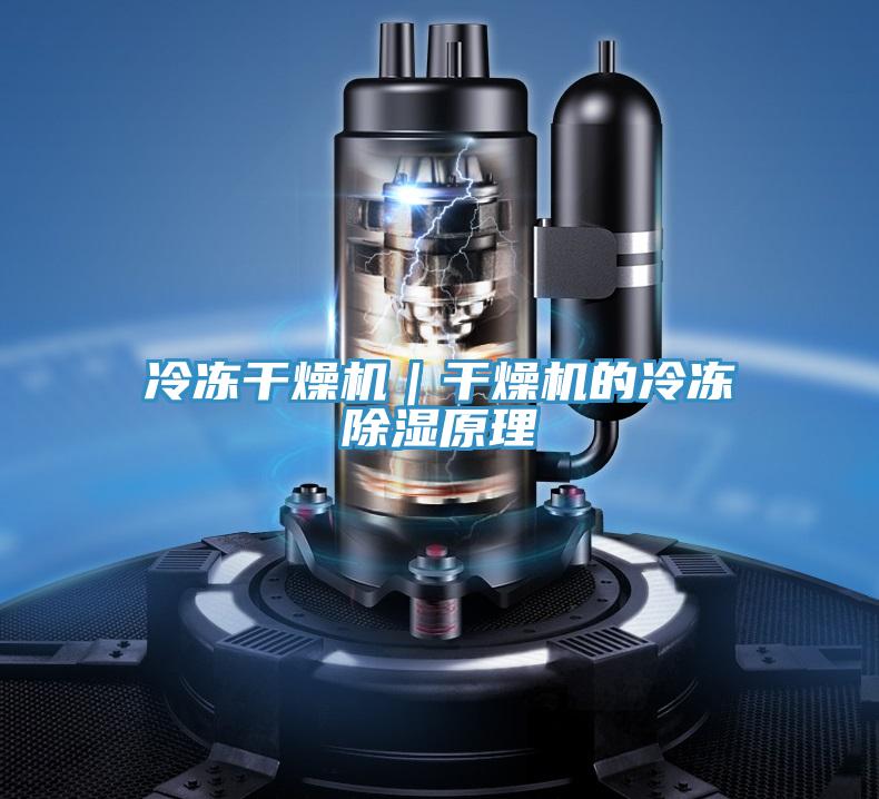 冷凍干燥機|干燥機的冷凍除濕原理