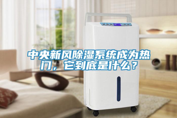 中央新風除濕系統成為熱門,它到底是什么?