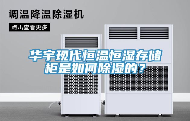 華宇現(xiàn)代恒溫恒濕存儲柜是如何除濕的？