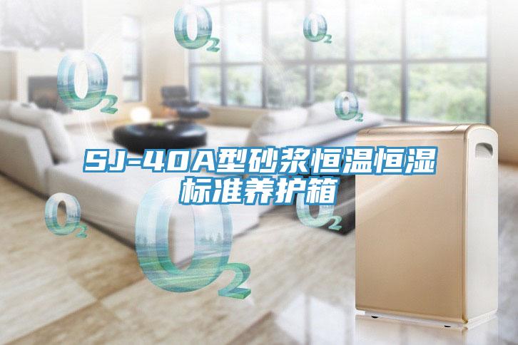 SJ-40A型砂漿恒溫恒濕標準養護箱