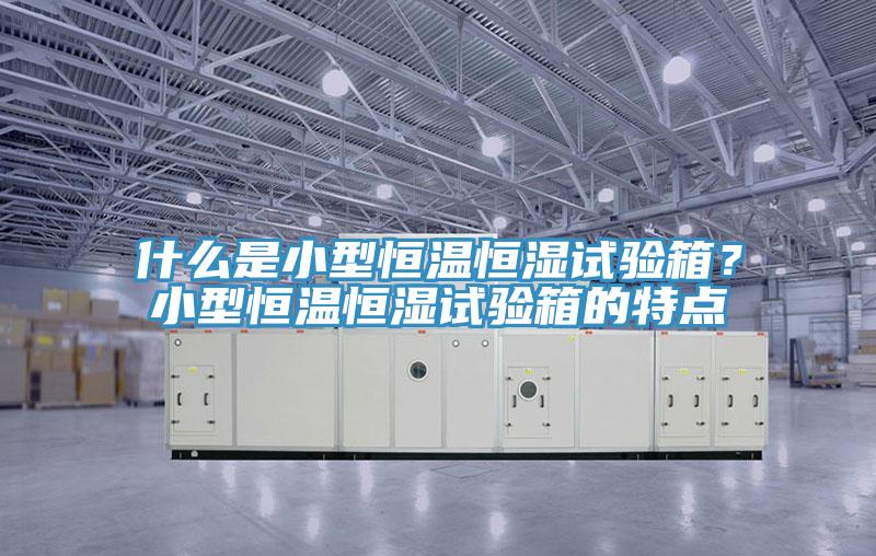 什么是小型恒溫恒濕試驗箱?小型恒溫恒濕試驗箱的特點