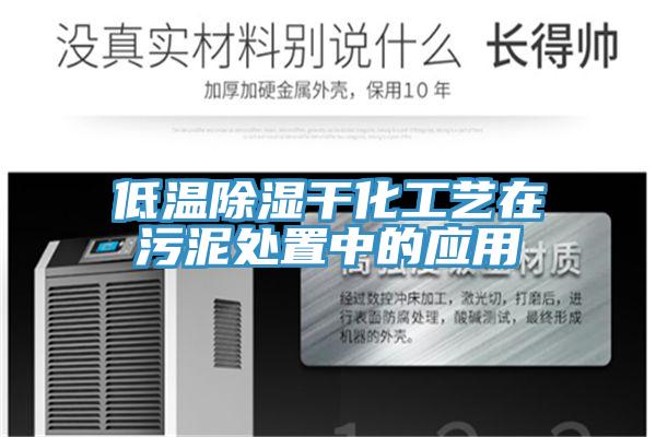 低溫除濕干化工藝在污泥處置中的應用