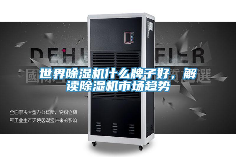 世界除濕機什么牌子好,解讀除濕機市場趨勢