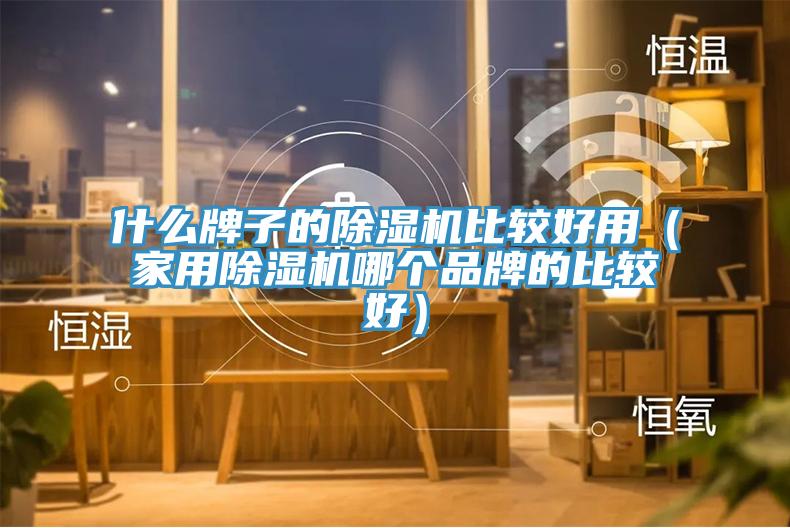 什么牌子的除濕機比較好用（家用除濕機哪個品牌的比較好）