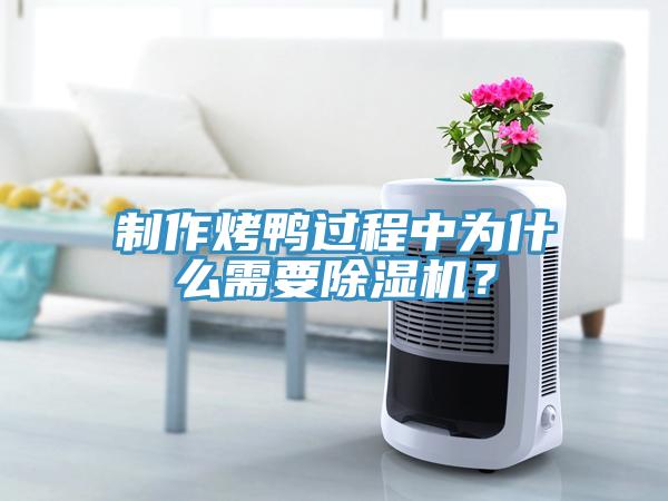 制作烤鴨過程中為什么需要除濕機(jī)？