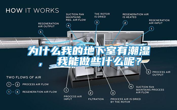 為什么我的地下室有潮濕， 我能做些什么呢？