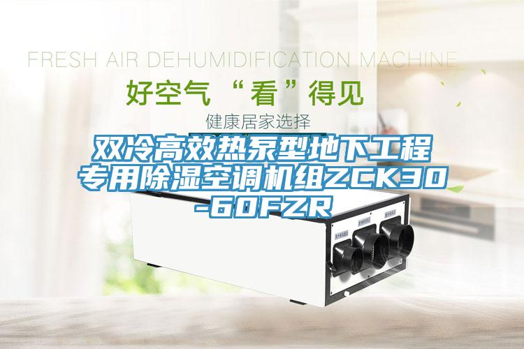 雙冷高效熱泵型地下工程專用除濕空調機組ZCK30-60FZR