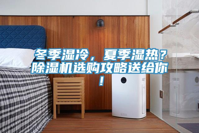 冬季濕冷，夏季濕熱？除濕機選購攻略送給你！