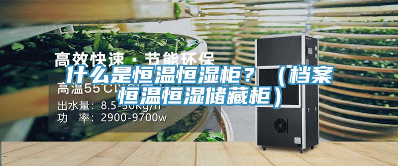 什么是恒溫恒濕柜?(檔案恒溫恒濕儲藏柜)