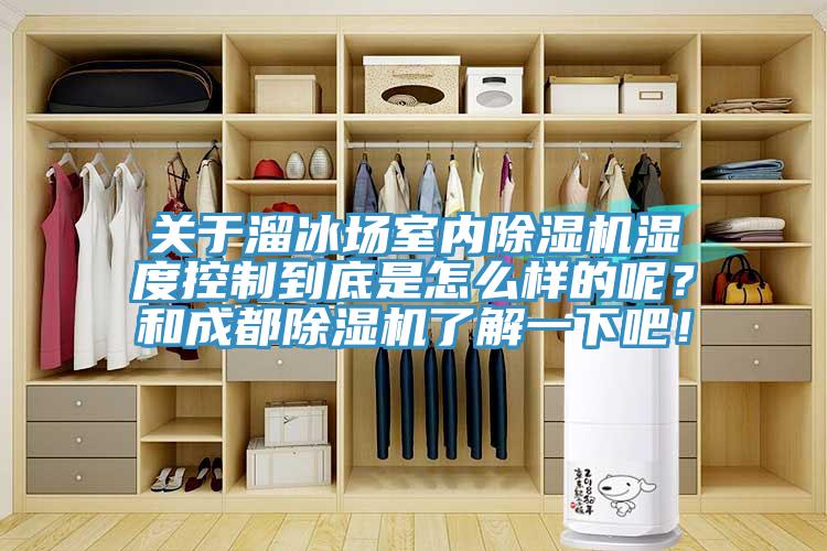 關于溜冰場室內除濕機濕度控制到底是怎么樣的呢？和成都除濕機了解一下吧！