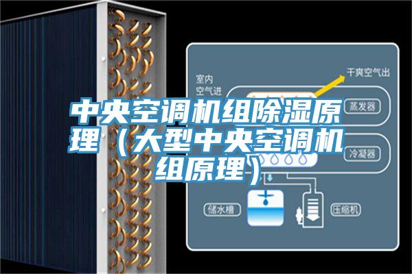 中央空調(diào)機組除濕原理(大型中央空調(diào)機組原理)