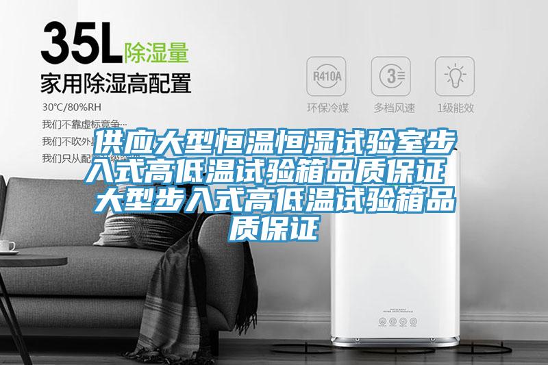 供應大型恒溫恒濕試驗室步入式高低溫試驗箱品質保證 大型步入式高低溫試驗箱品質保證