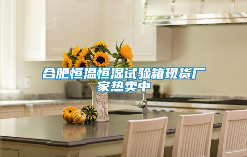 合肥恒溫恒濕試驗箱現貨廠家熱賣中