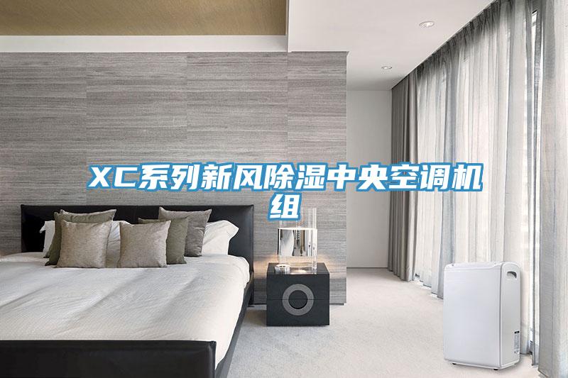 XC系列新風除濕中央空調機組