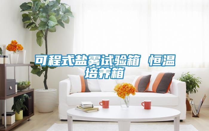 可程式鹽霧試驗箱 恒溫培養箱