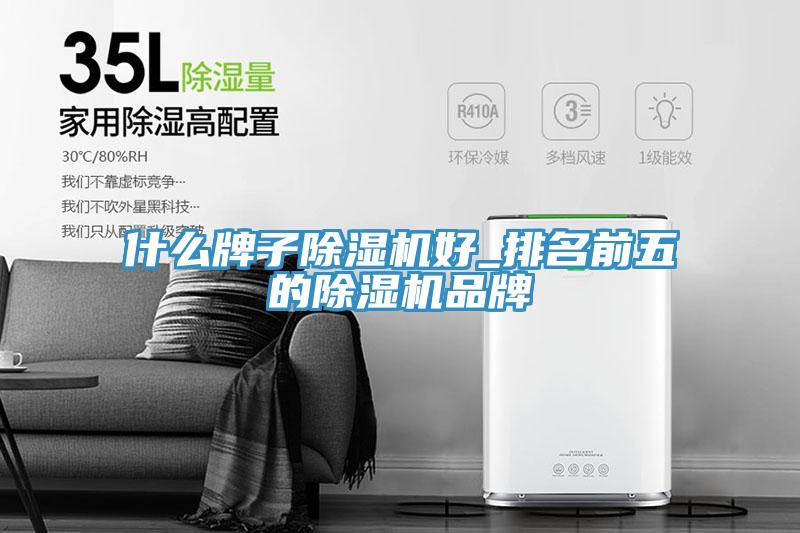 什么牌子除濕機好_排名前五的除濕機品牌