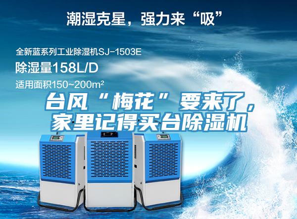 臺(tái)風(fēng)“梅花”要來(lái)了,家里記得買臺(tái)除濕機(jī)