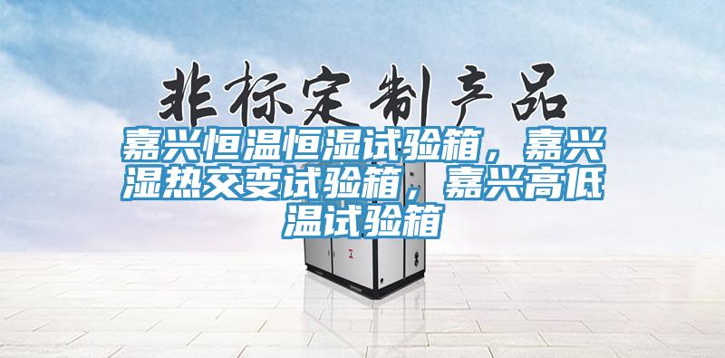 嘉興恒溫恒濕試驗(yàn)箱,嘉興濕熱交變?cè)囼?yàn)箱,嘉興高低溫試驗(yàn)箱
