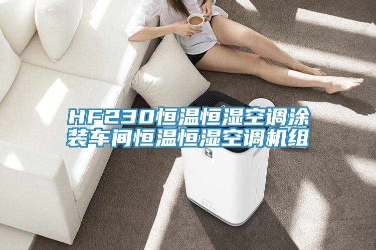 HF230恒溫恒濕空調涂裝車間恒溫恒濕空調機組