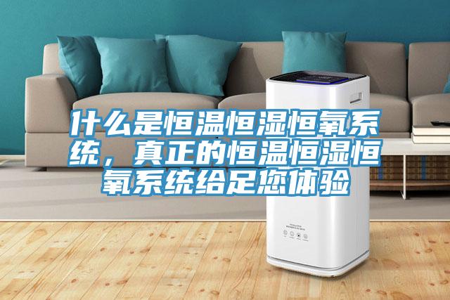 什么是恒溫恒濕恒氧系統(tǒng),真正的恒溫恒濕恒氧系統(tǒng)給足您體驗