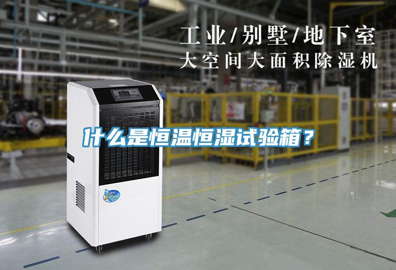 什么是恒溫恒濕試驗箱？
