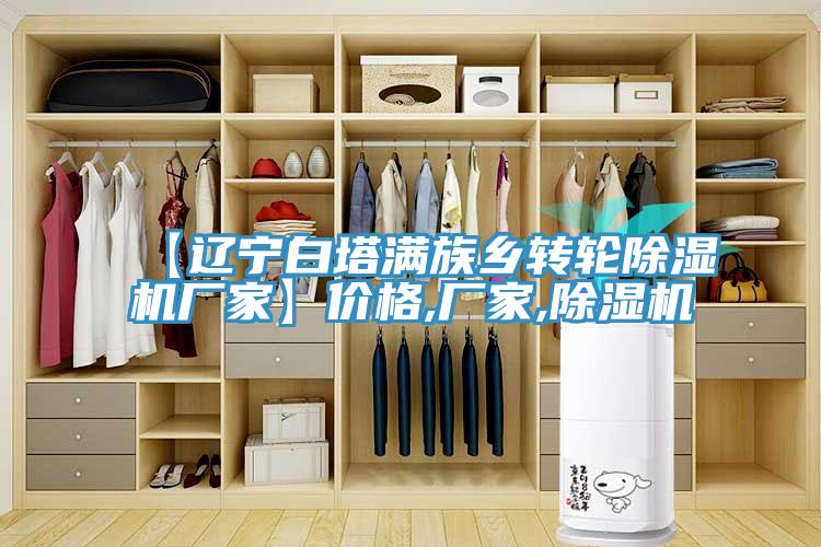 【遼寧白塔滿族鄉轉輪除濕機廠家】價格,廠家,除濕機
