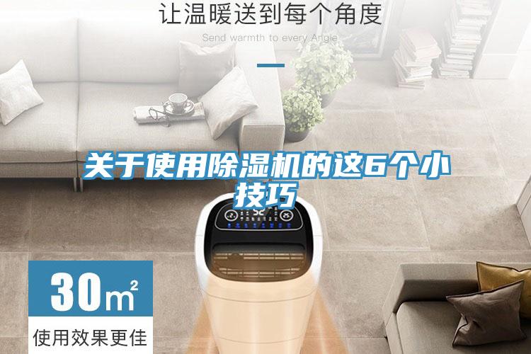 關于使用除濕機的這6個小技巧