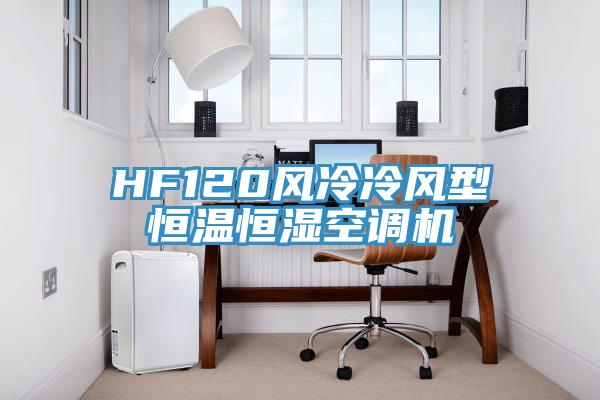 HF120風冷冷風型恒溫恒濕空調機