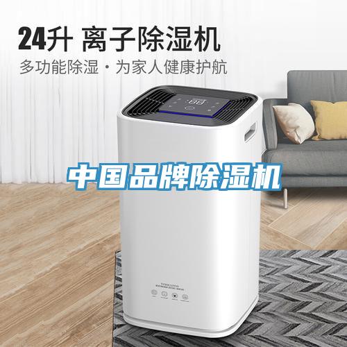 中國品牌除濕機