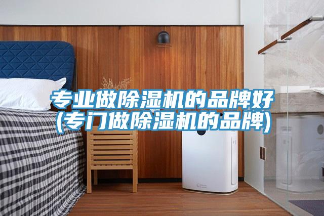 專業做除濕機的品牌好(專門做除濕機的品牌)