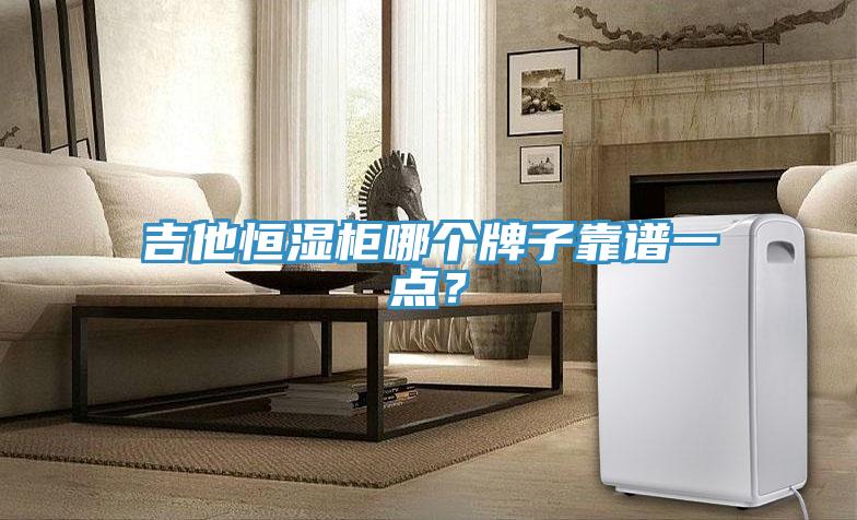 吉他恒濕柜哪個牌子靠譜一點？