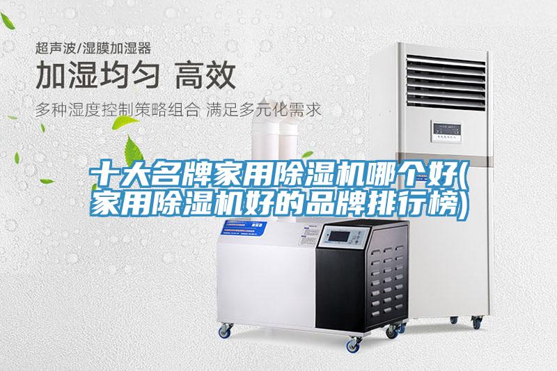 十大名牌家用除濕機哪個好(家用除濕機好的品牌排行榜)