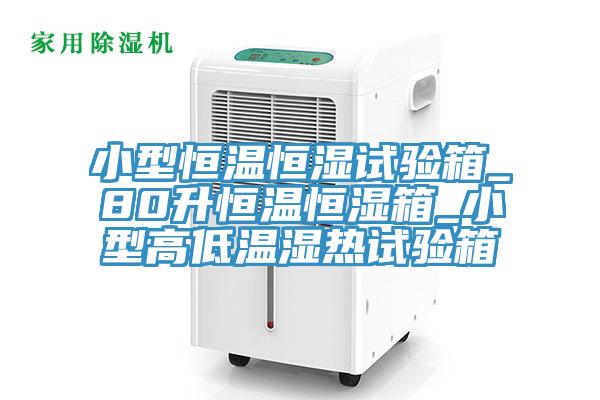 小型恒溫恒濕試驗箱_80升恒溫恒濕箱_小型高低溫濕熱試驗箱