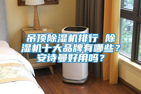 吊頂除濕機排行 除濕機十大品牌有哪些？安詩曼好用嗎？