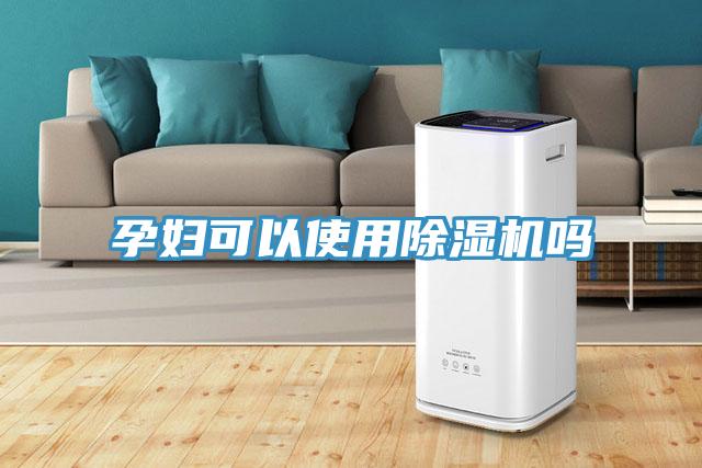 孕婦可以使用除濕機嗎