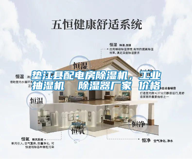 墊江縣配電房除濕機，工業抽濕機  除濕器廠家 價格
