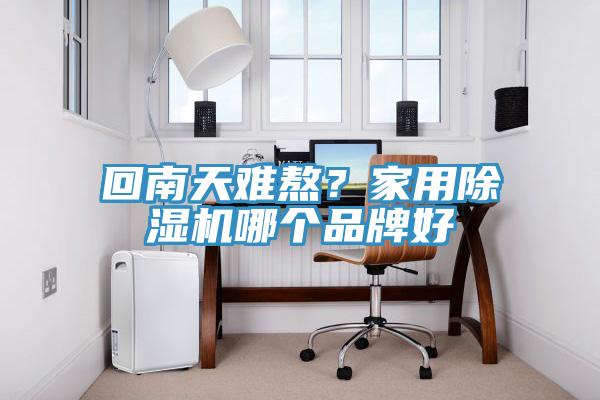 回南天難熬？家用除濕機哪個品牌好