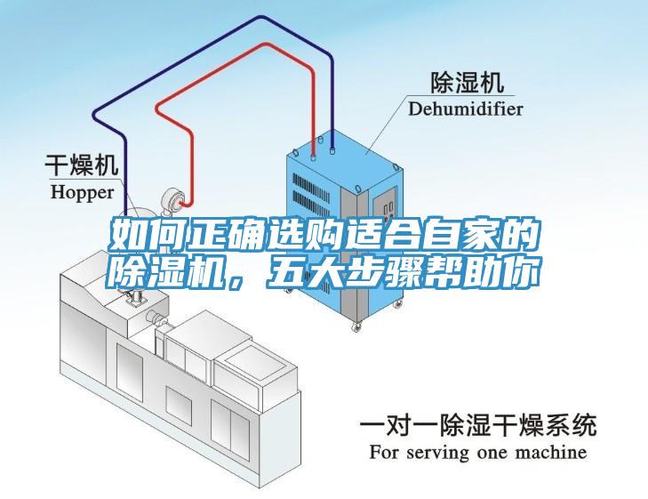 如何正確選購適合自家的除濕機，五大步驟幫助你